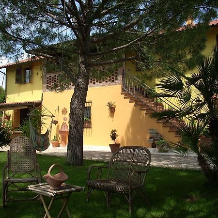 B&B Piceno Castel di Lama Exteriér fotografie